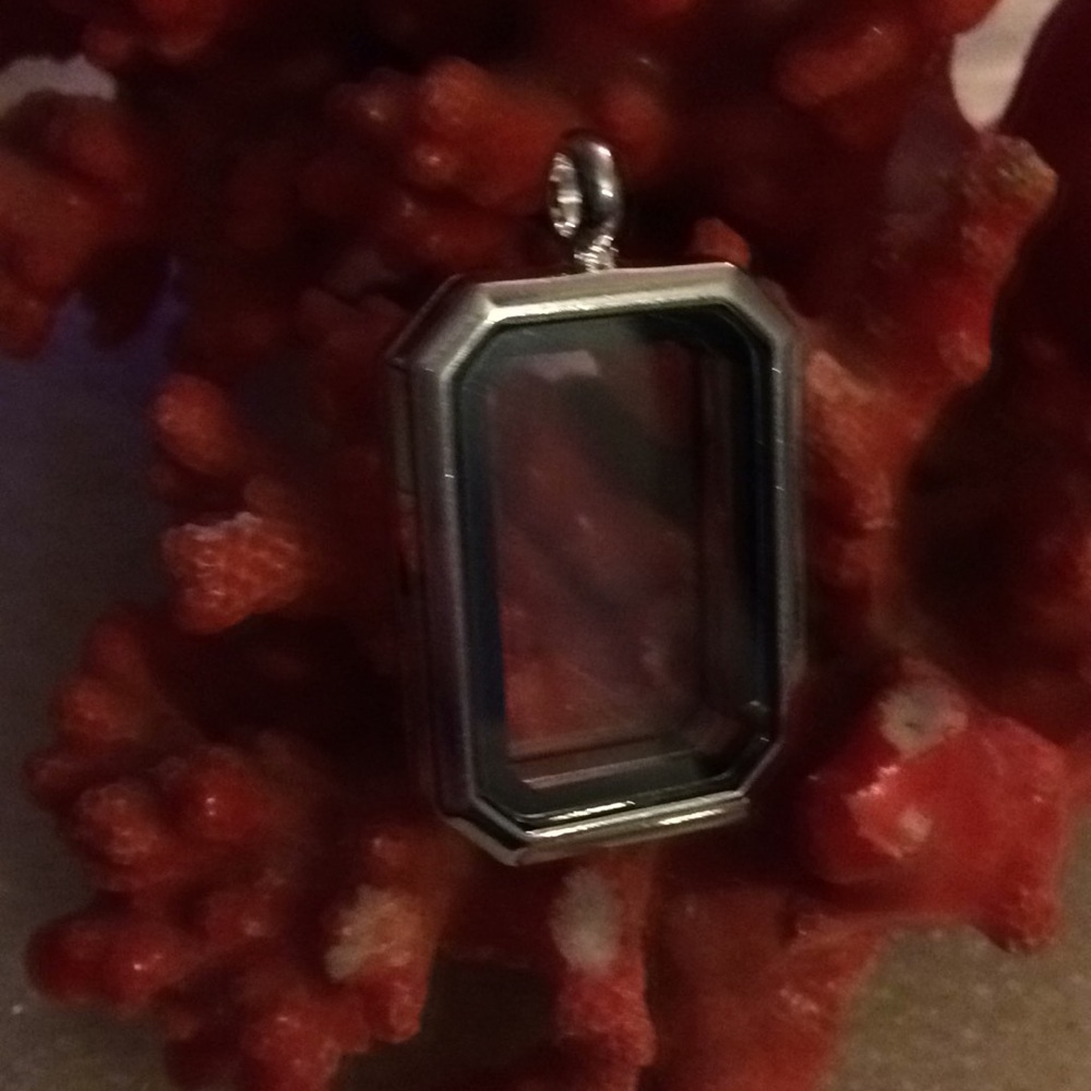 Crystal Locket Pendent - image 3